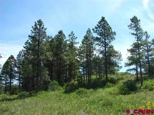 198 S Honeysuckle Ave, Pagosa Springs, CO 81147 - #3
