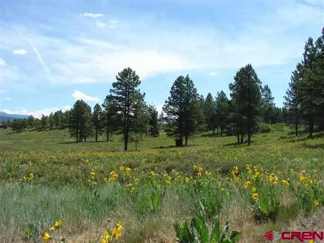 146 S Honeysuckle Ave, Pagosa Springs, CO 81147 - #1