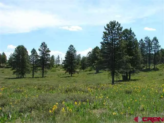 146 S Honeysuckle Ave, Pagosa Springs, CO 81147 - #3