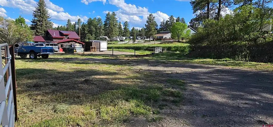 46 Goldmine Drive, Pagosa Springs, CO 81147 - #3