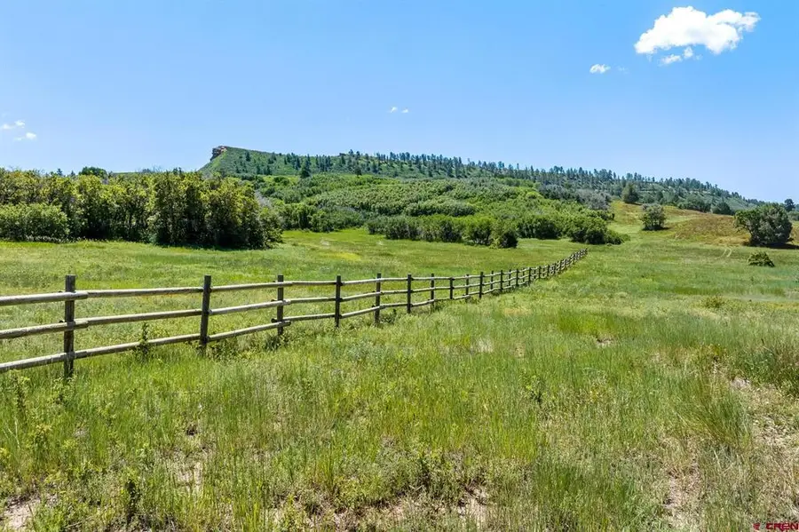8350 Road 46, Mancos, CO 81328 - #2