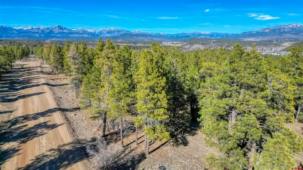 46 S Squaw Canyon Place, Pagosa Springs, CO 81147 - #1