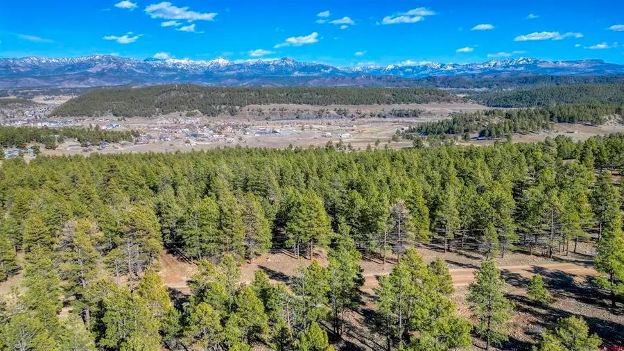 46 S Squaw Canyon Place, Pagosa Springs, CO 81147 - #3