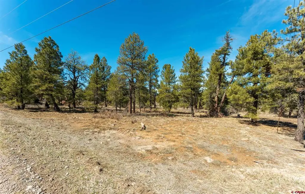 412 Coronado Circle, Pagosa Springs, CO 81147 - #1