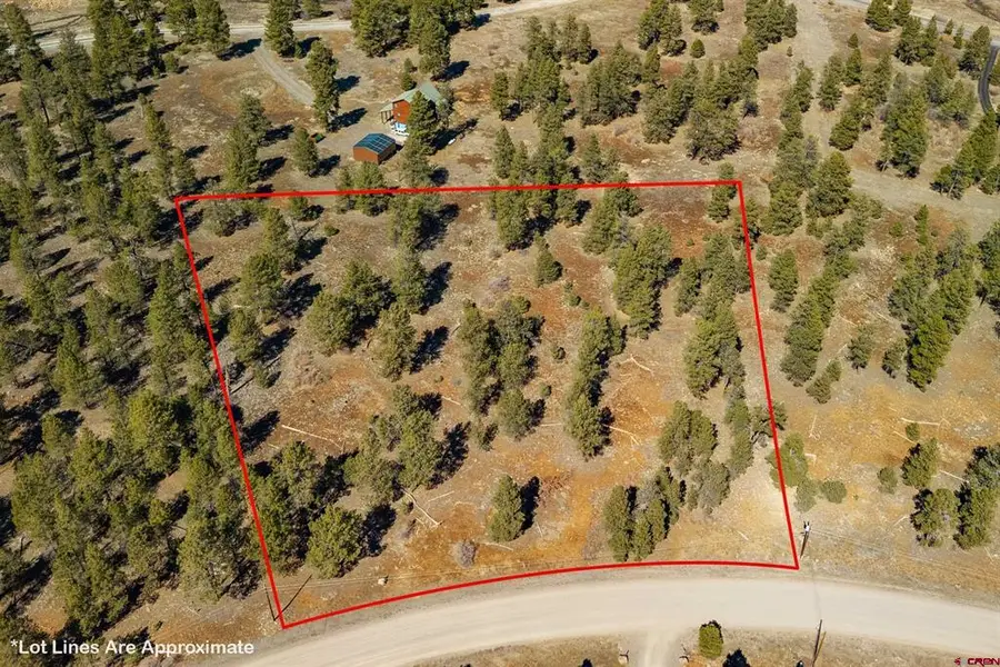 412 Coronado Circle, Pagosa Springs, CO 81147 - #2