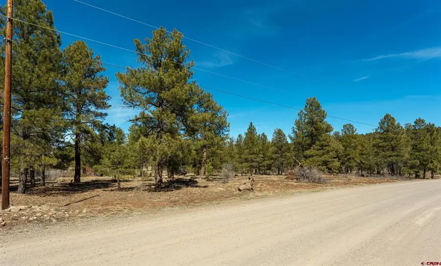 412 Coronado Circle, Pagosa Springs, CO 81147 - #3