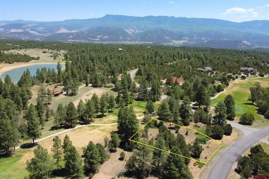 1640 Marmot Dr, Ridgway, CO 81432 - #2