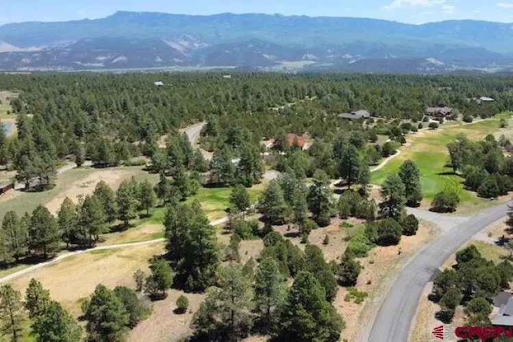 1640 Marmot Dr, Ridgway, CO 81432 - #3