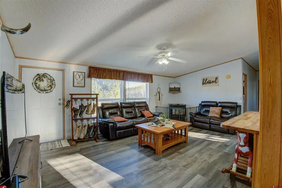 19867 Road 21.4, Lewis, CO 81327 - #3