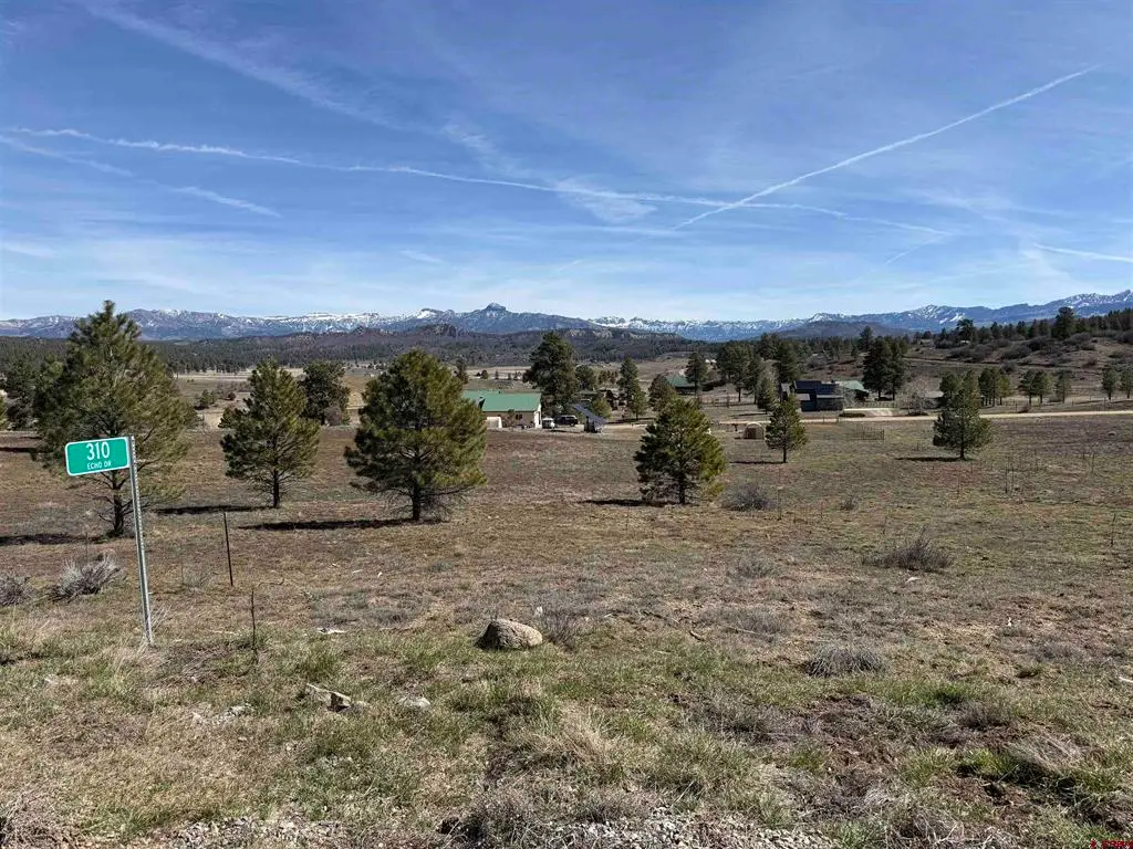 310 Echo Drive, Pagosa Springs, CO 81147 - #1