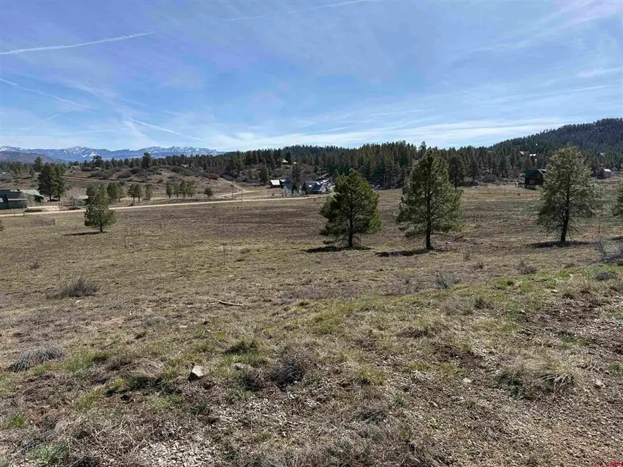 310 Echo Drive, Pagosa Springs, CO 81147 - #2