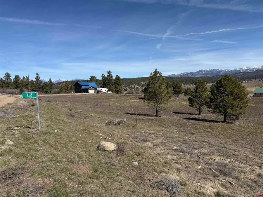 310 Echo Drive, Pagosa Springs, CO 81147 - #3