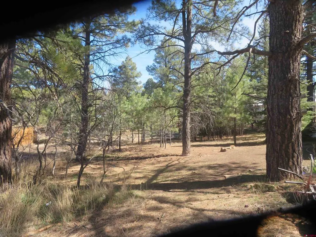 30 Knollwood Court, Pagosa Springs, CO 81147 - #1