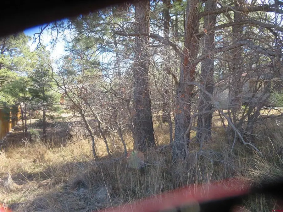 30 Knollwood Court, Pagosa Springs, CO 81147 - #2