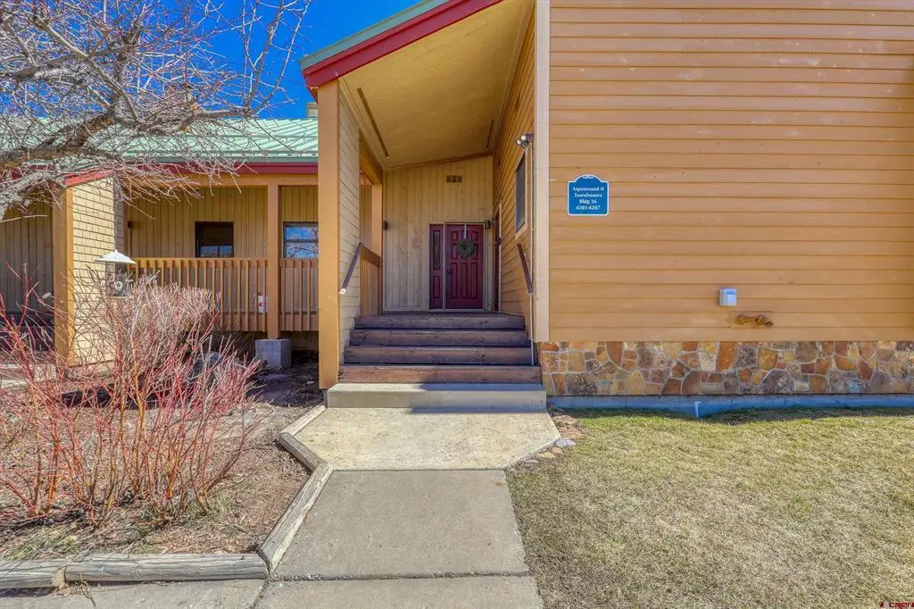 247 Davis Cup #4203, Pagosa Springs, CO 81147 - #1