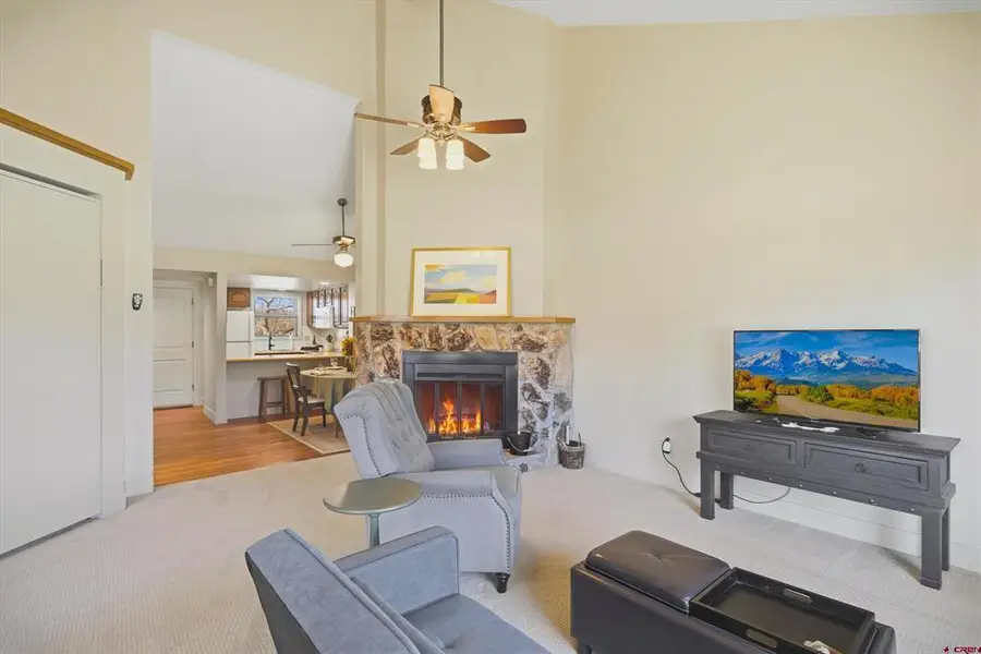 247 Davis Cup #4203, Pagosa Springs, CO 81147 - #3