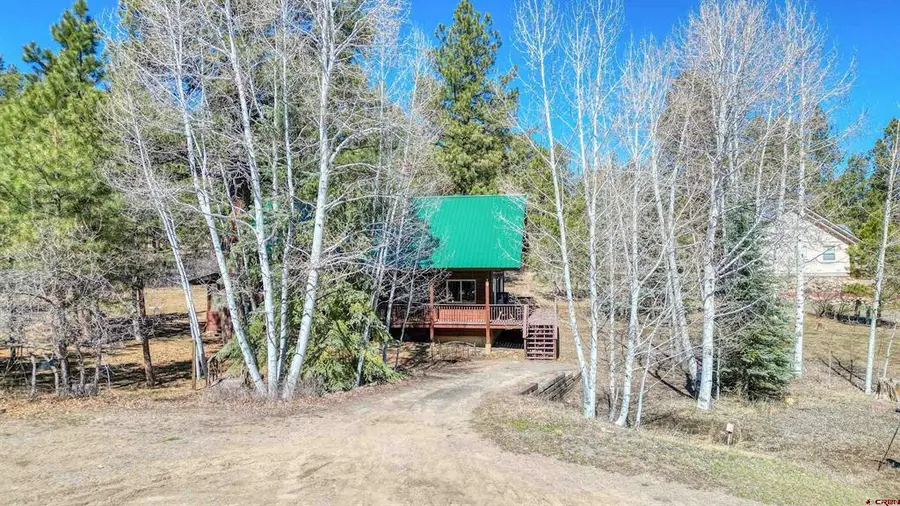 29 Thrush Court, Pagosa Springs, CO 81147 - #2