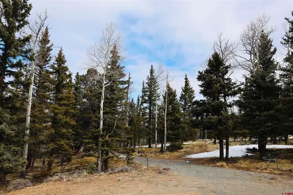 TBD Cochetopa Trail, Powderhorn, CO 81243