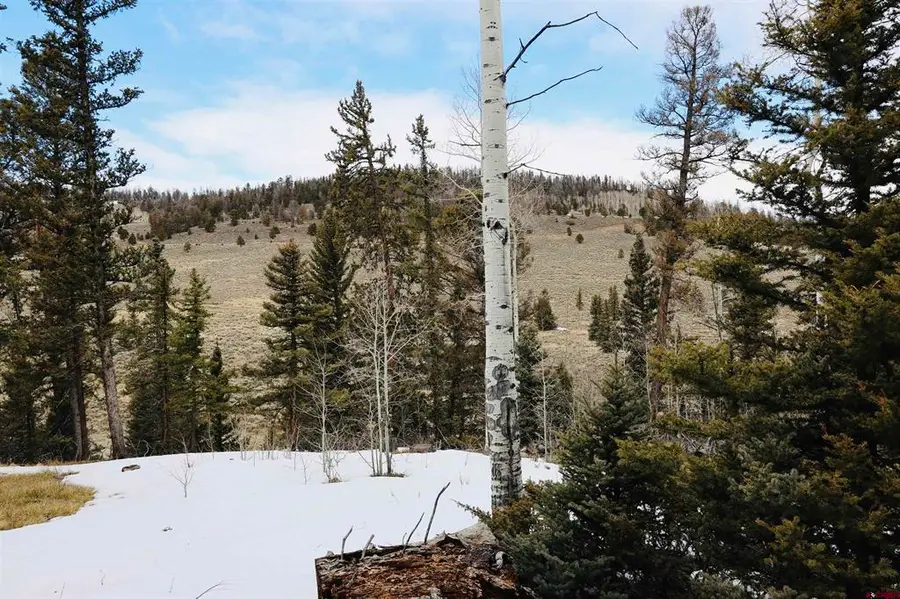 TBD Cochetopa Trail, Powderhorn, CO 81243 - #2