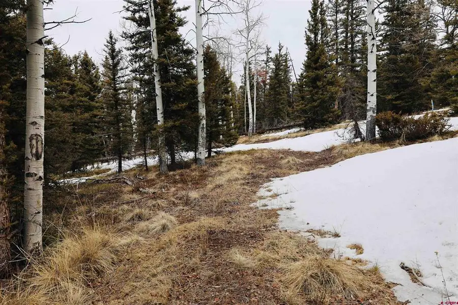TBD Cochetopa Trail, Powderhorn, CO 81243 - #3