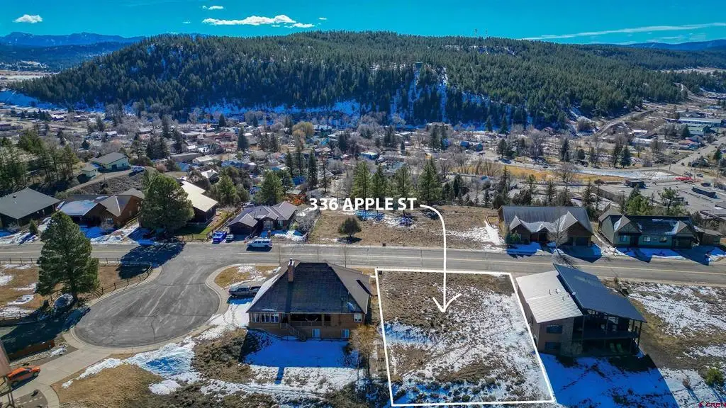336 Apple Street, Pagosa Springs, CO 81147 - #1