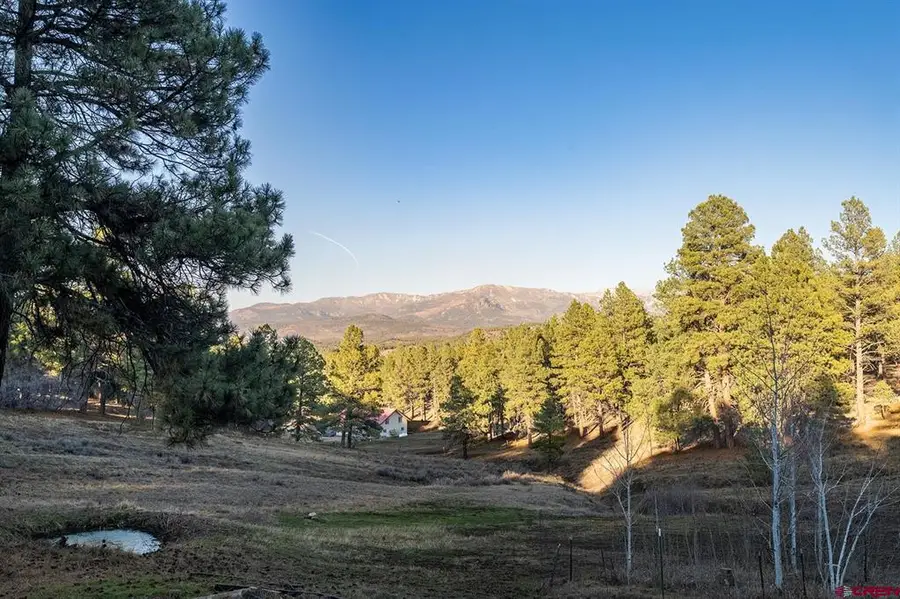 15 Night Hawk Court, Pagosa Springs, CO 81147 - #3