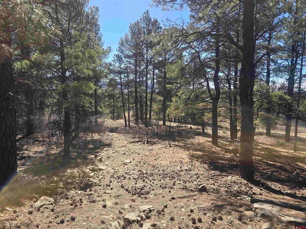 96 Woodridge Circle, Pagosa Springs, CO 81147 - #1