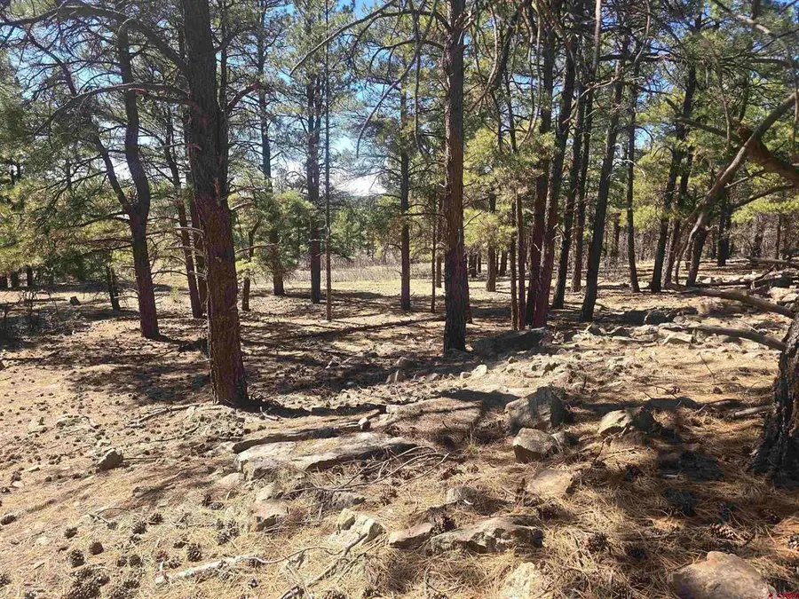 96 Woodridge Circle, Pagosa Springs, CO 81147 - #2