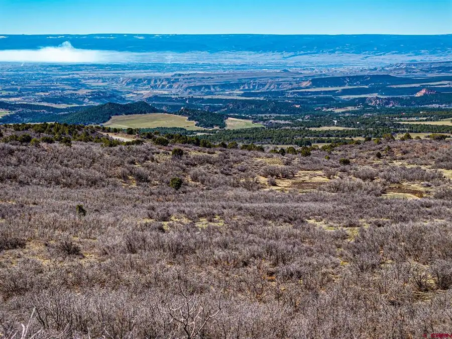 Lot 23 Highway 65, Cedaredge, CO 81413 - #2
