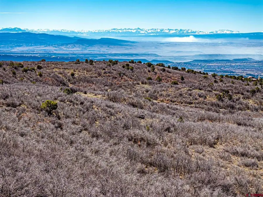 Lot 23 Highway 65, Cedaredge, CO 81413 - #3