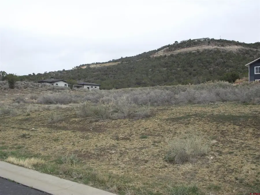 735 SE Pinyon Street, Cedaredge, CO 81413 - #2