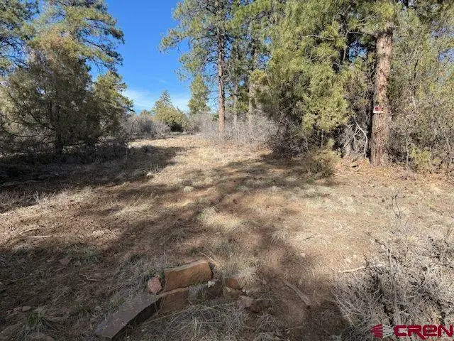495 Justin's Drive, Pagosa Springs, CO 81147 - #1