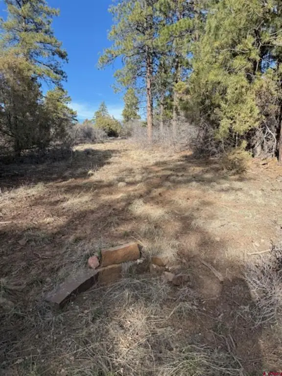 495 Justin's Drive, Pagosa Springs, CO 81147 - #2