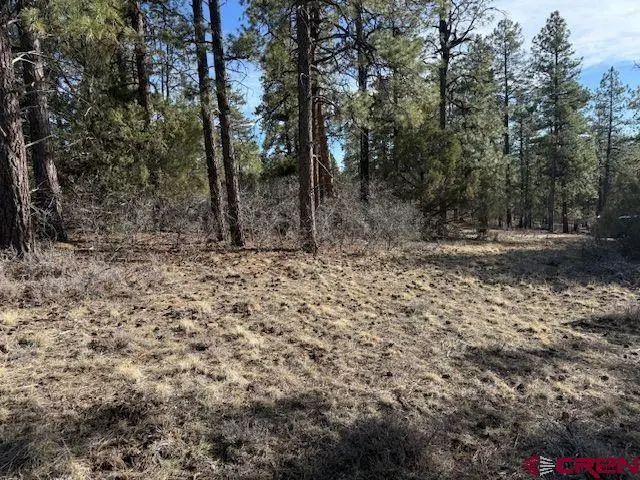 495 Justin's Drive, Pagosa Springs, CO 81147 - #3