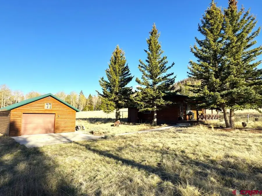 1118 Slumgullion Trail, Powderhorn, CO 81243 - #2