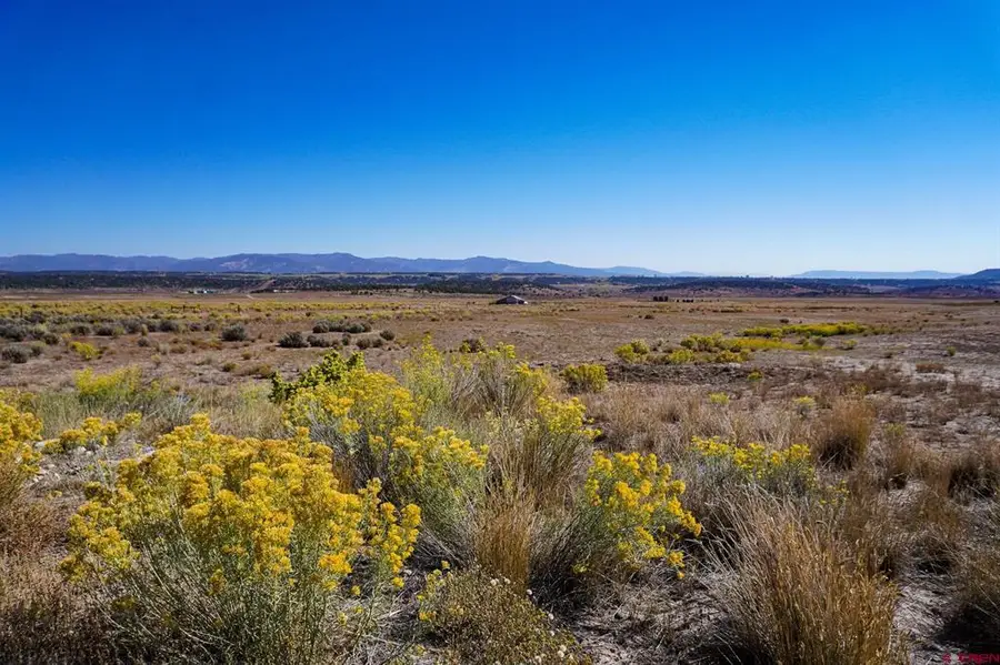 TBDWP County Road 319, Ignacio, CO 81137 - #2