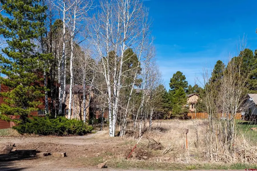 278 Park Avenue, Pagosa Springs, CO 81147 - #2