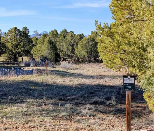 1635 Marmot Drive, Ridgway, CO 81432