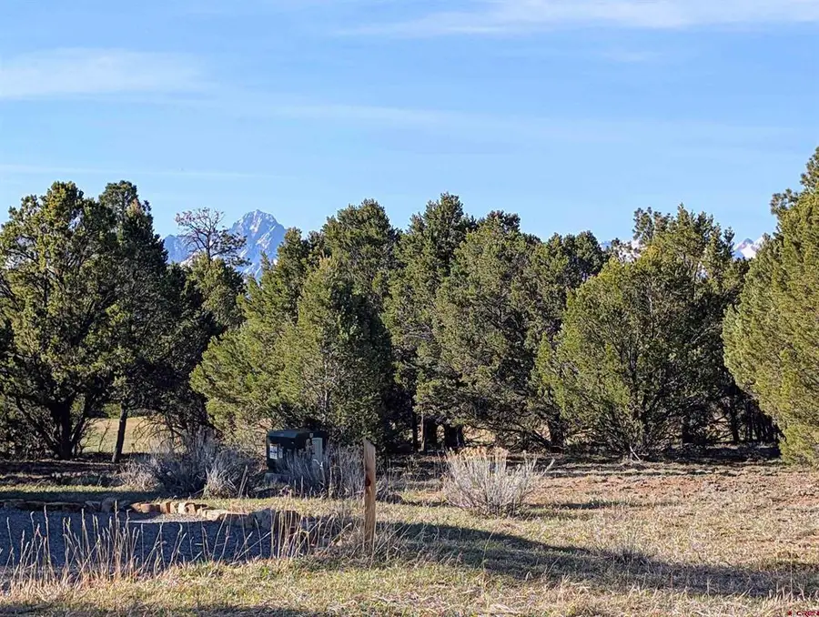 1635 Marmot Drive, Ridgway, CO 81432 - #3