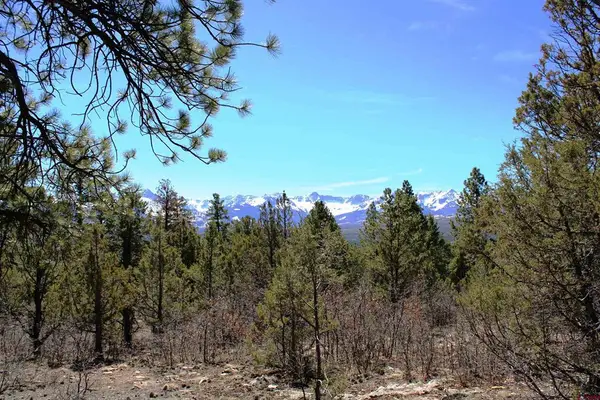 TBD Old Relay Road, Ridgway, CO 81432