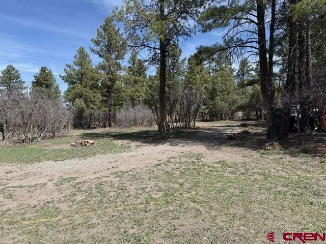 1205 Ute Drive, Pagosa Springs, CO 81147 - #2