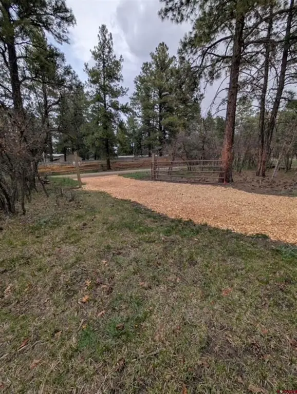 1205 Ute Drive, Pagosa Springs, CO 81147 - #3
