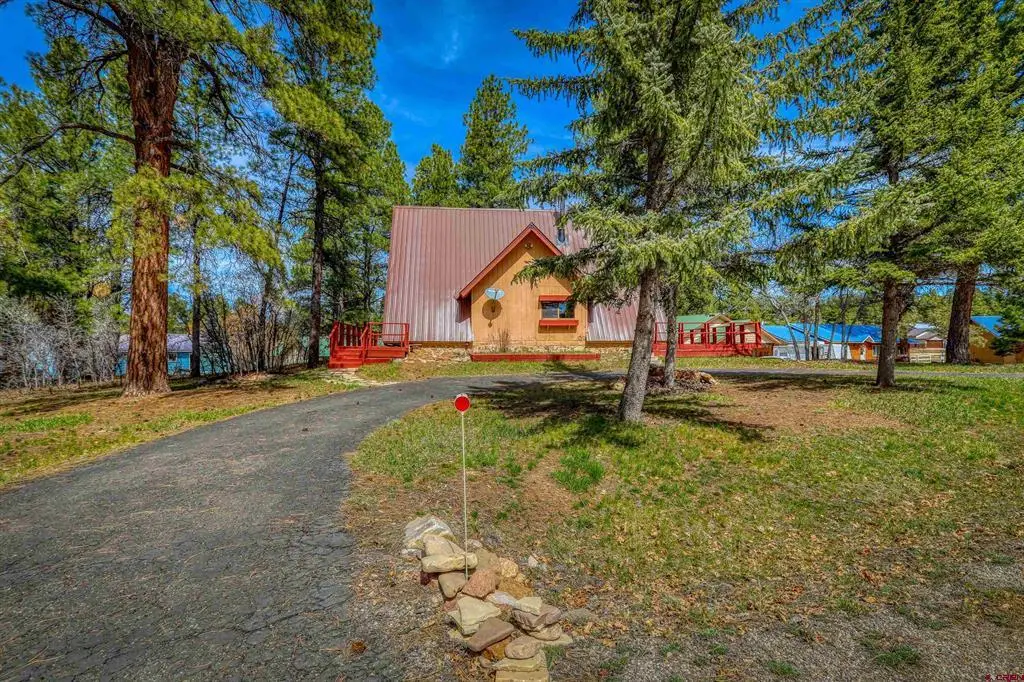 384 Pines Drive, Pagosa Springs, CO 81147 - #1