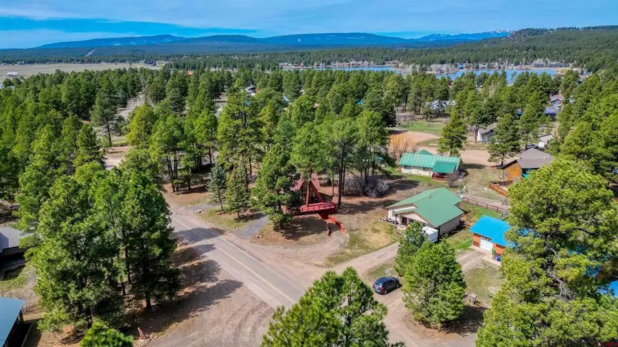 384 Pines Drive, Pagosa Springs, CO 81147 - #3
