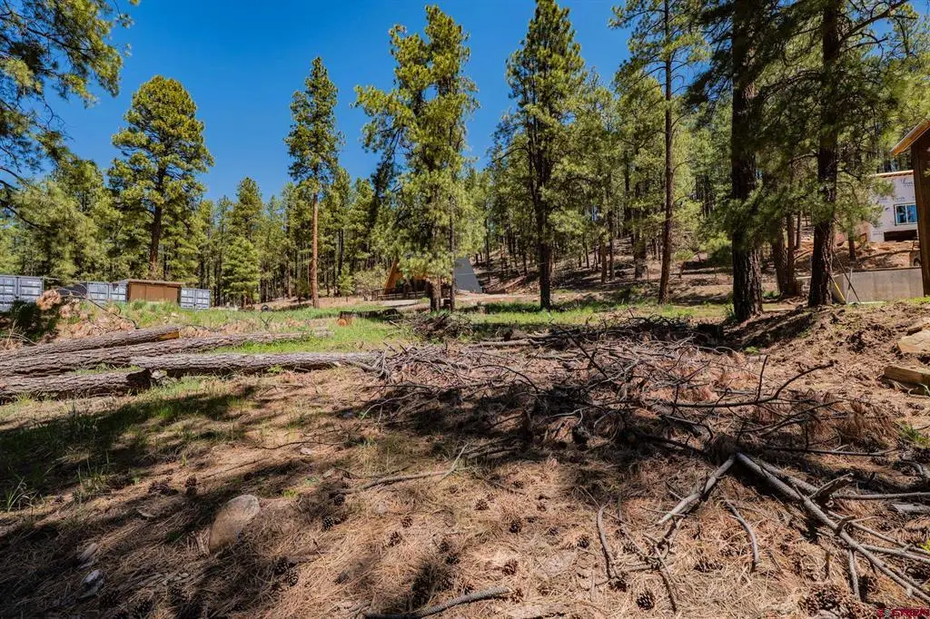 171 Snowbird Court, Bayfield, CO 81122 - #1