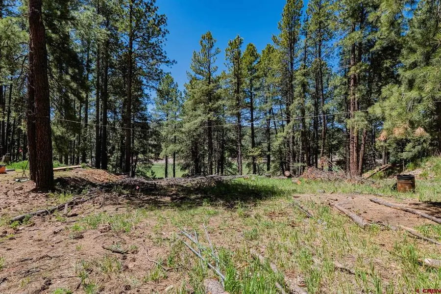 171 Snowbird Court, Bayfield, CO 81122 - #2