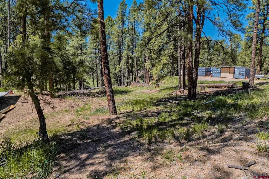 171 Snowbird Court, Bayfield, CO 81122 - #3