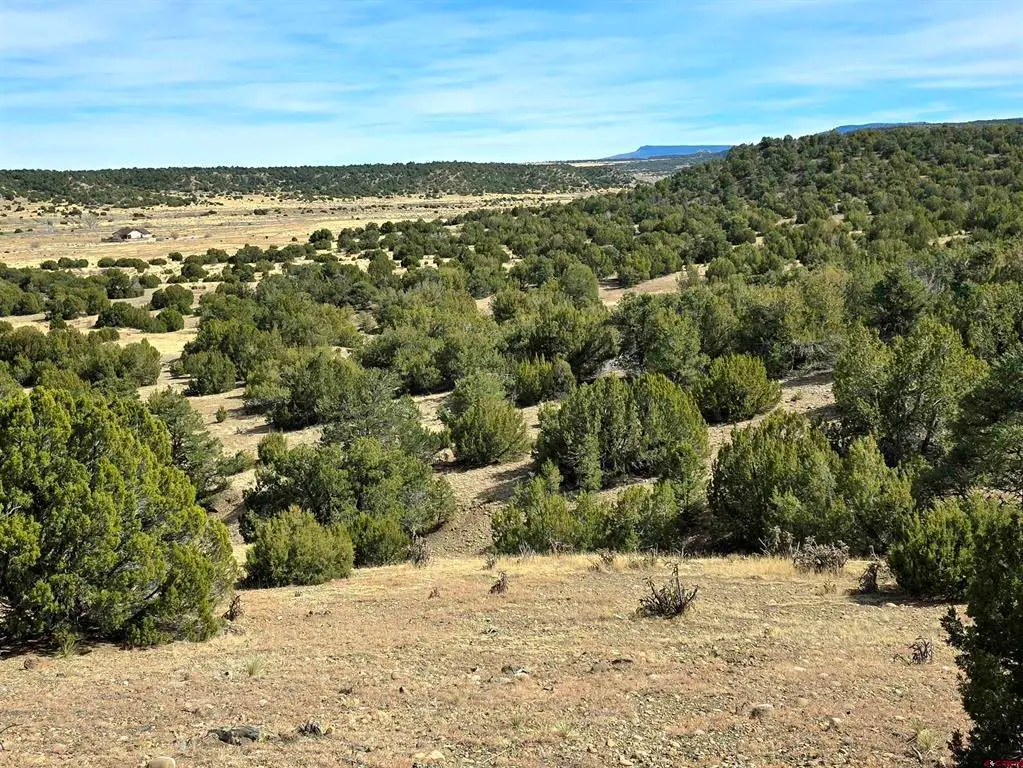 Lot 21 of 13565 Bat Masterson, Trinidad, CO 81082 - #1