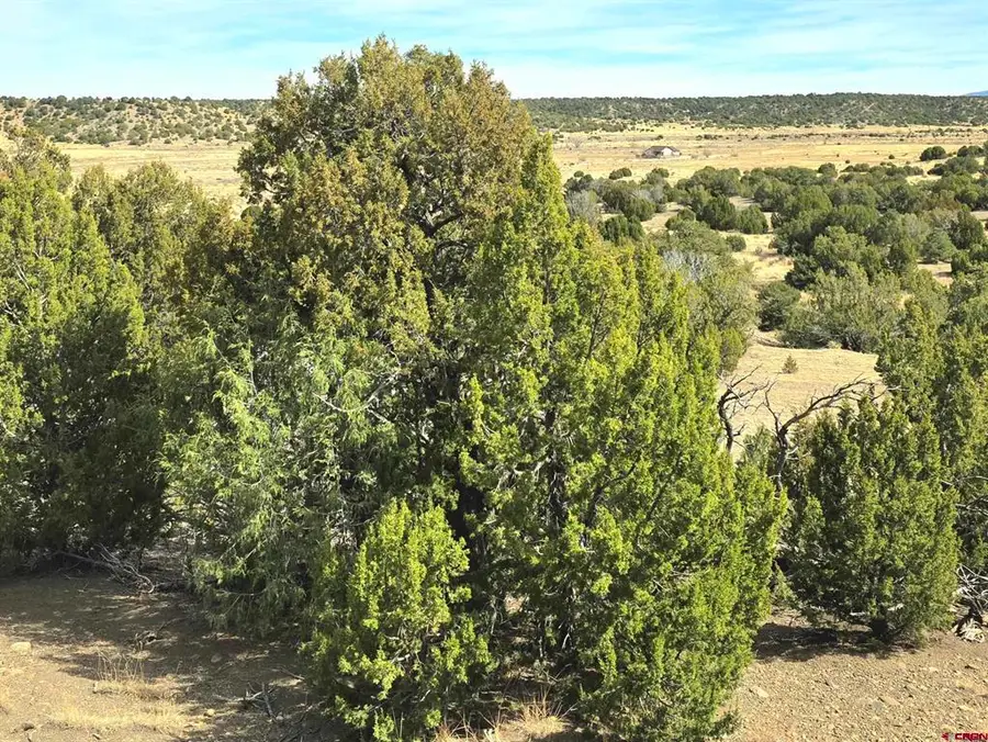 Lot 21 of 13565 Bat Masterson, Trinidad, CO 81082 - #3