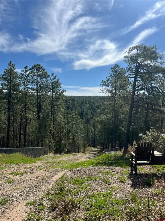 2444 Crooked Road, Pagosa Springs, CO 81147 - #1